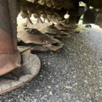 Claas Disco 300 C, foto 5